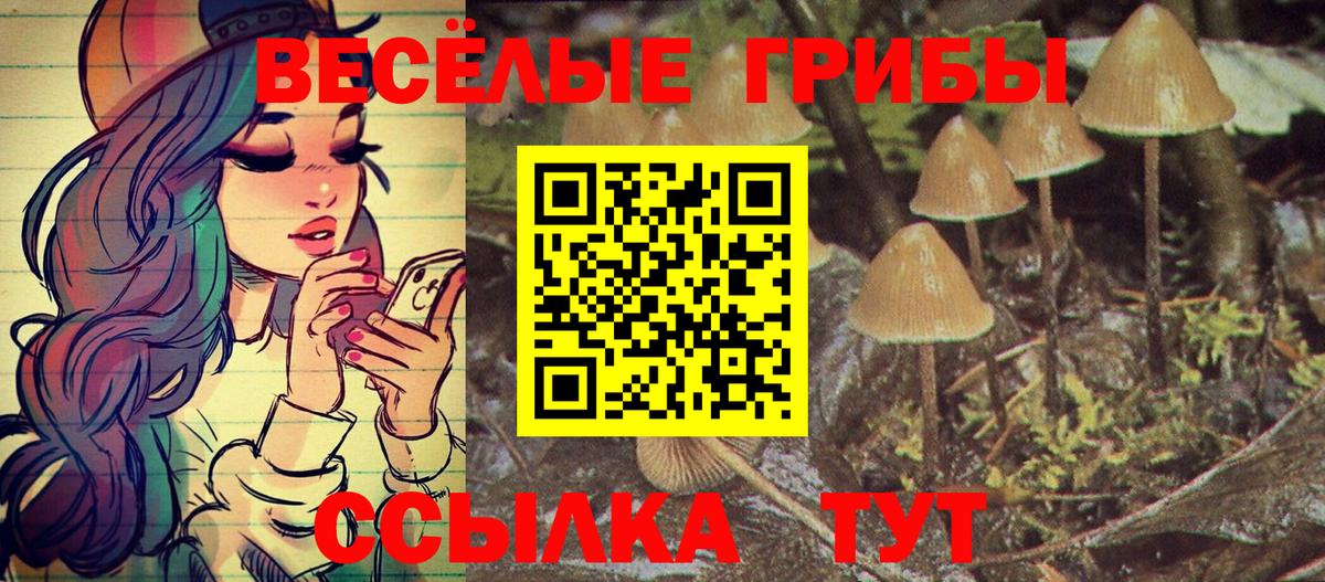 где продают наркотики  Галлюциногенные грибы Magic Shrooms  Псилоцибиновые грибы Magic Shrooms  Вход с VPN  Мелеуз 